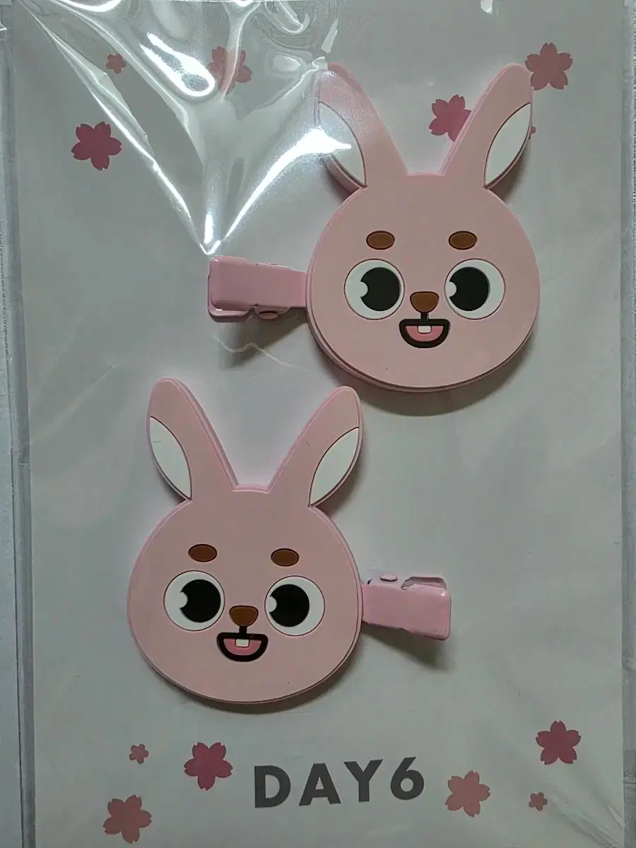 DAY6 | 데이식스 Day6 pop up exit gift day6.zip candle confetti on